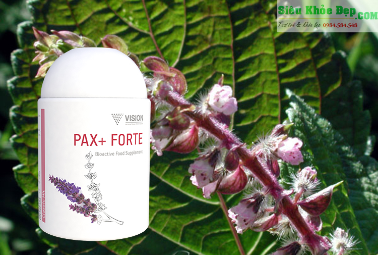 Pax - Forte Vision chất lượng